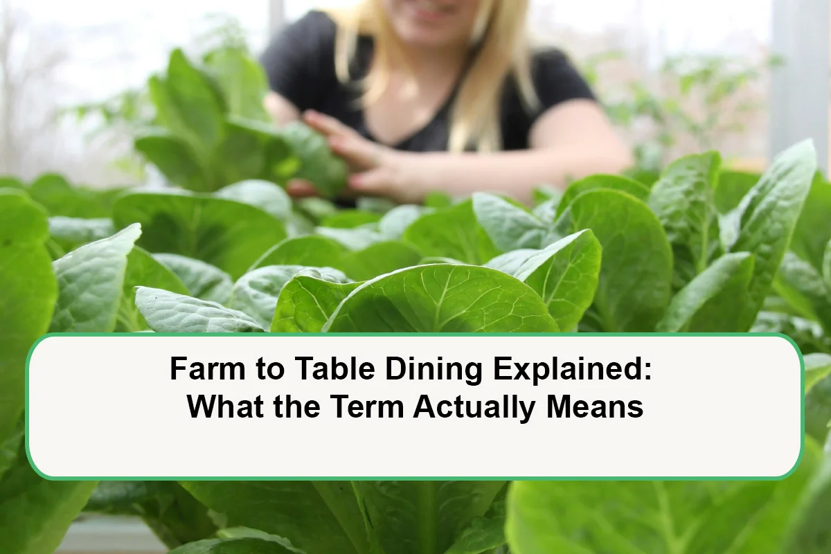 Farm to Table Dining Explained: What the Term Actually Means