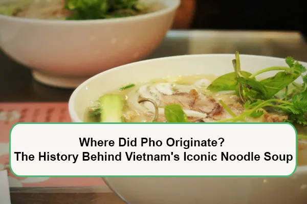 where-did-pho-originate-the-history-behind-vietnams-iconic-noodle-soup-1785656955.webp