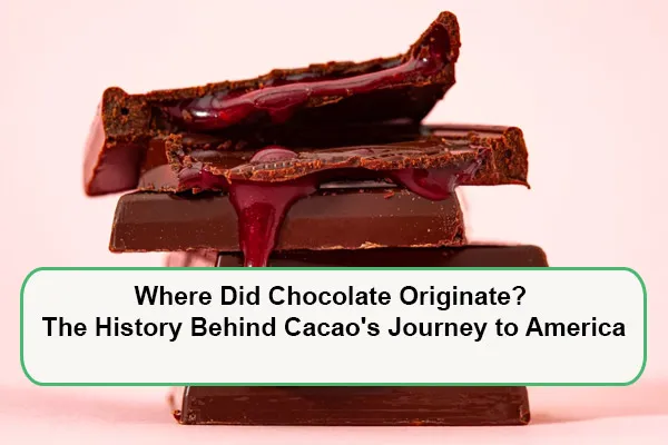 Where Did Chocolate Originate? The History Behind Cacao's Journey to America