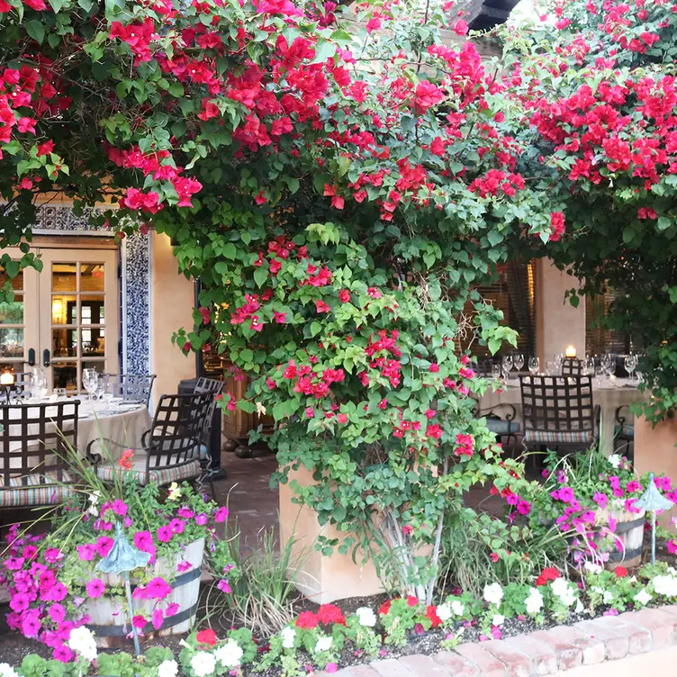 Resturants Image