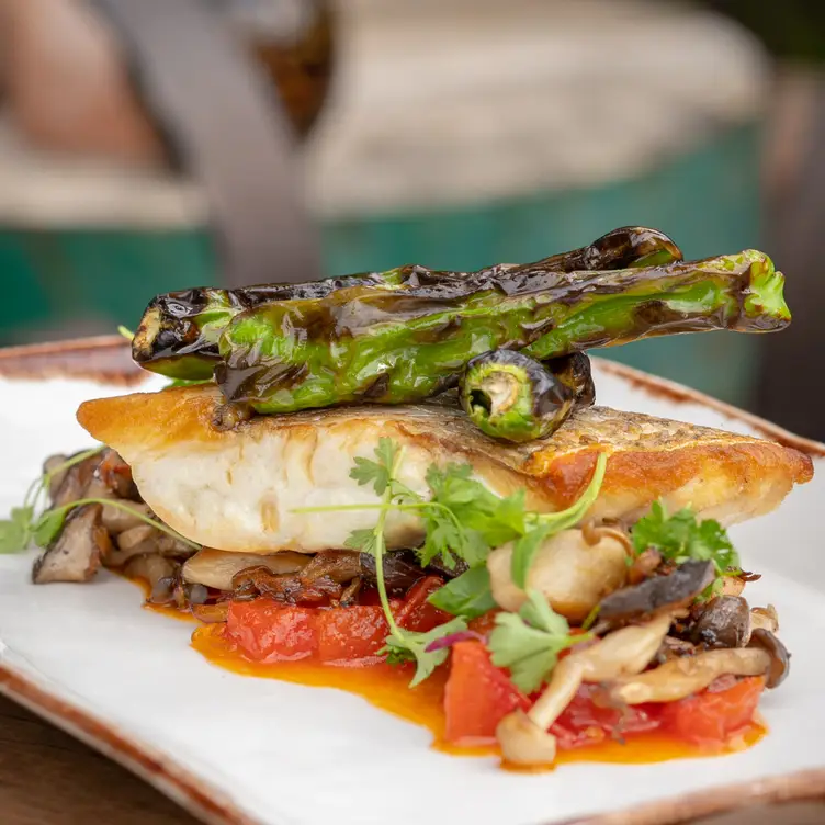 T. Cook's at Royal Palms Resort and Spa Gallery