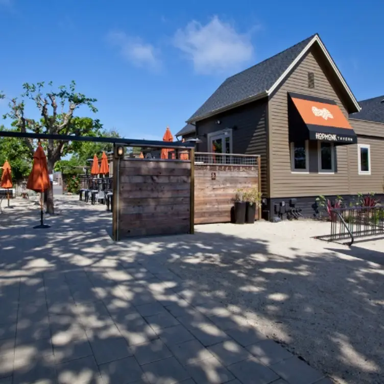 HopMonk Tavern Gallery