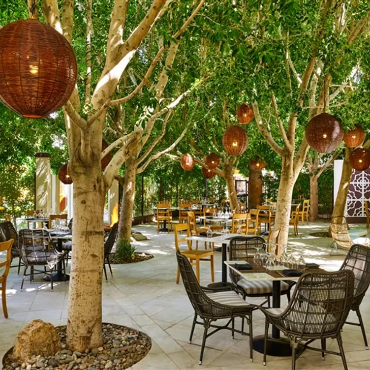 Resturants Image