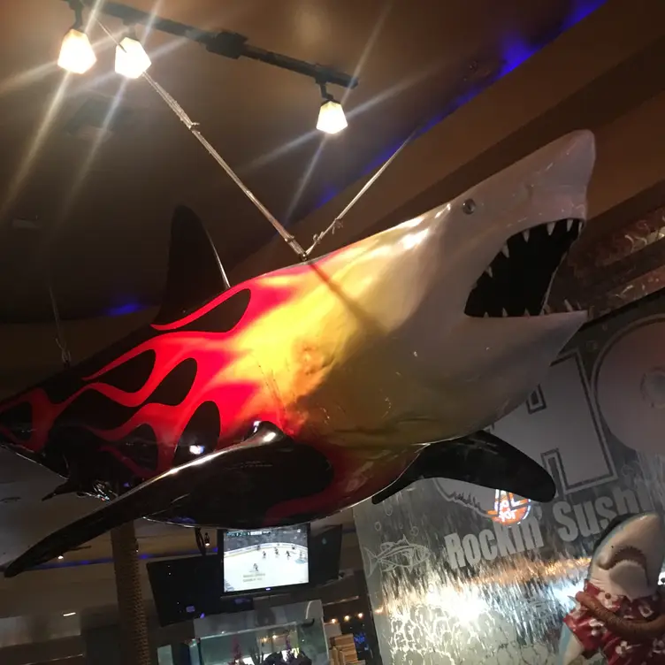 Chomp Gallery