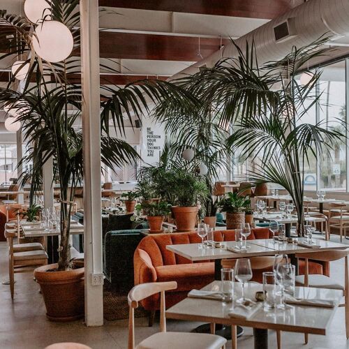 Resturants Image