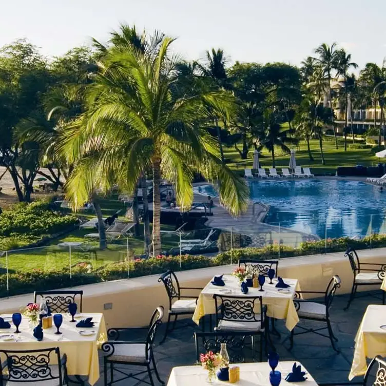 Resturants Image