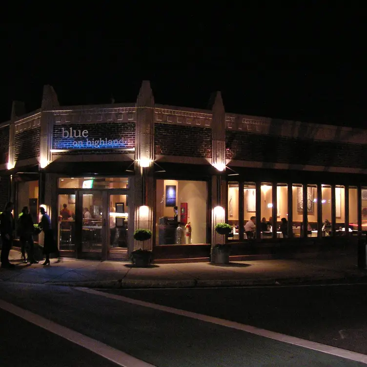 Blue On Highland Gallery
