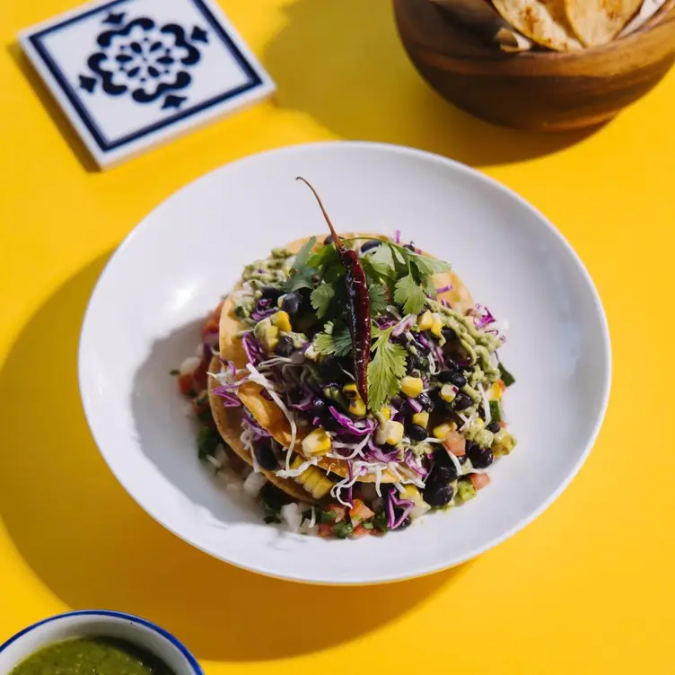 Wild Salsa - Dallas Gallery