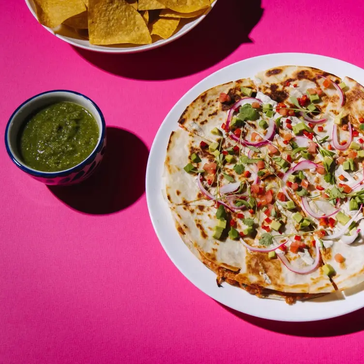 Wild Salsa - Dallas Gallery